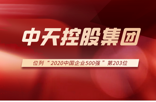 龙8国际集团列2020中国企业500强第203位！